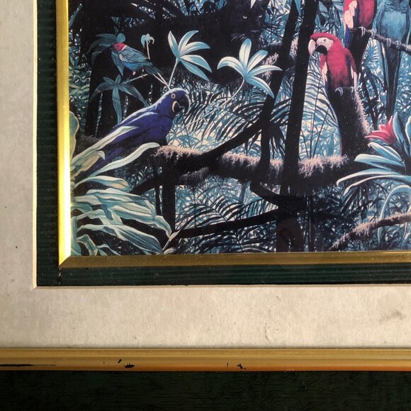 Vintage print jungle parrot with frame small wall decor - Picture 4 of 7